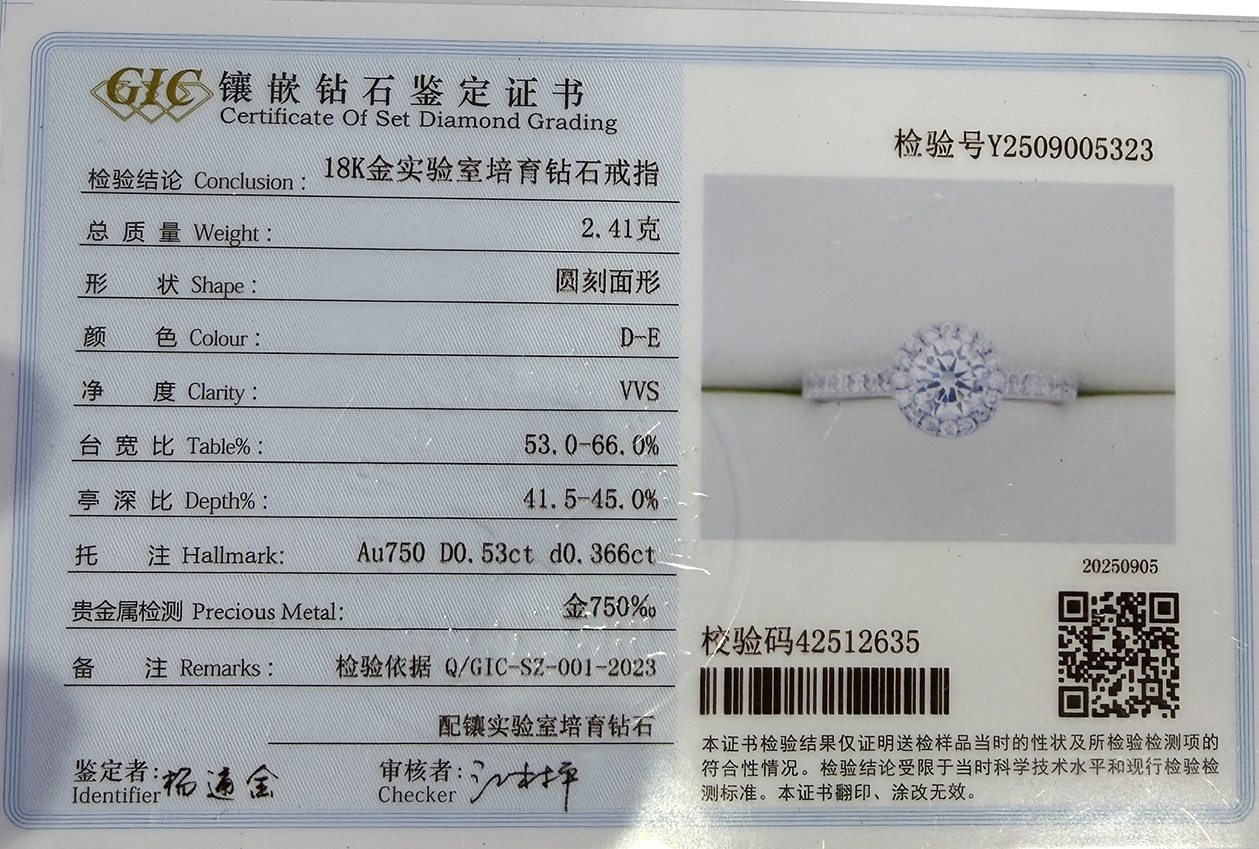 圆包围镶款1.png/