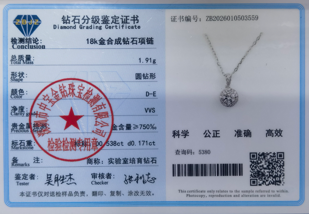 圆包围镶项链b.png/